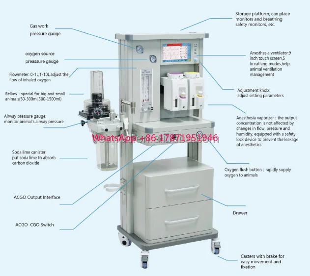 Операция ICU Анежиния Ветеринарная машина Машина для нумерации использования