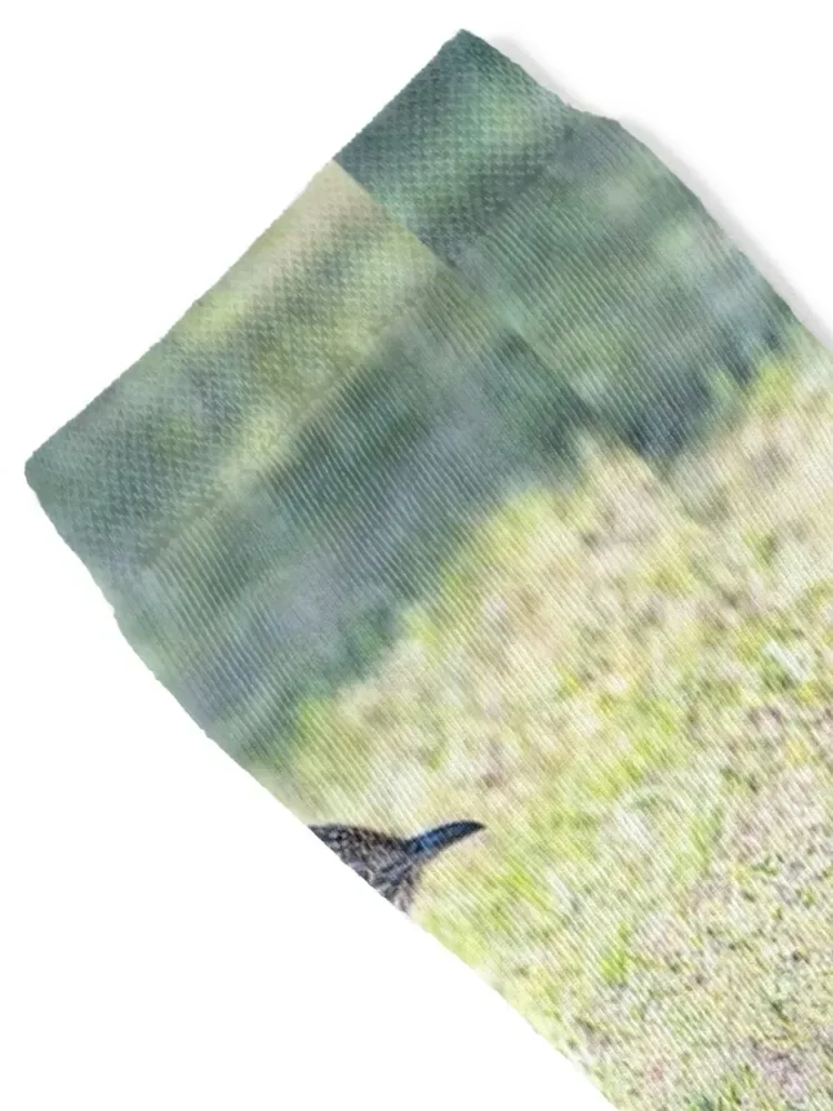 Большой Roadrunner готовые к образованию носки рождественские чулки походные ботинки