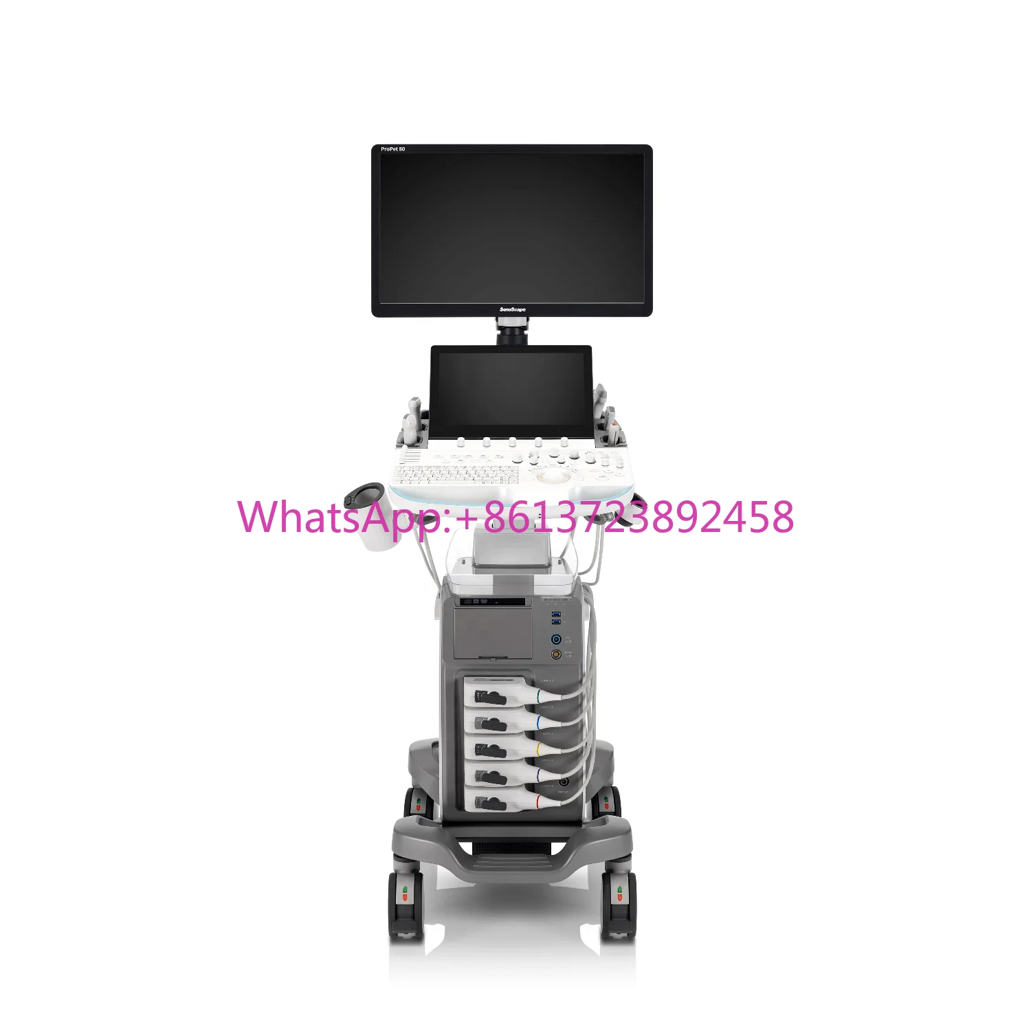 SonoScape Пропет80 ветеринарный ультразвук