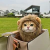 Cute Lion Mane Cat Wig Hat 2