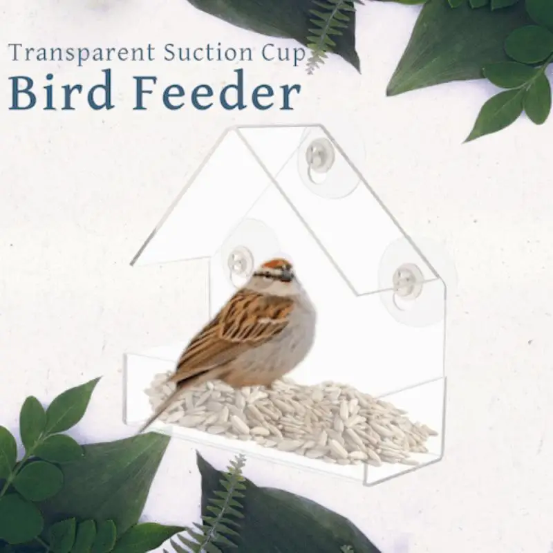 

Hanging Bird Feeder Outdoor Birds Bird Feeder Clear Glass Window Viewing Bird Feed Hotel Table Seed Peanut Hanging Suction