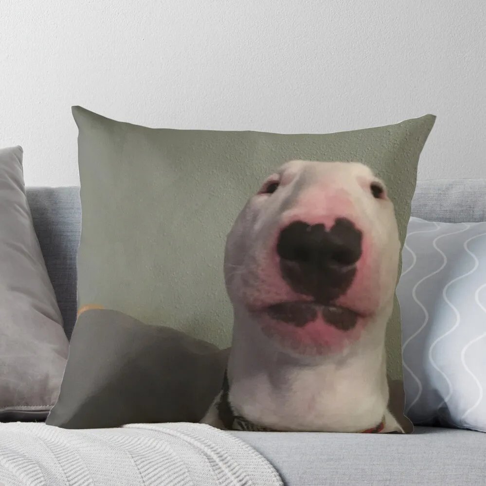 @ Pupperнельсон: Уолтер оригинальная декоративная подушка роскошные наволочки для