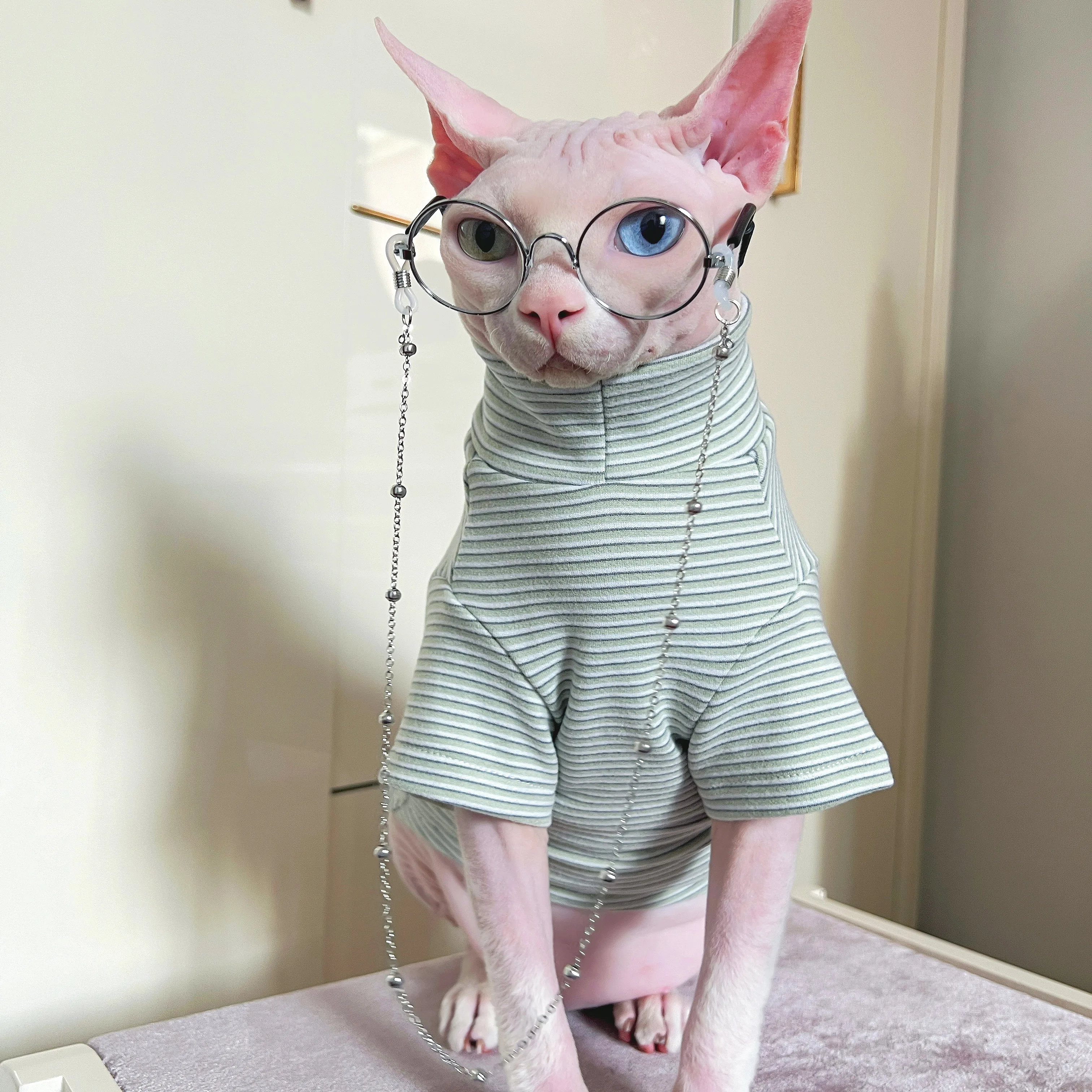 Зимняя теплая зеленая толстовка с котом и длинными рукавами для кошек свитер