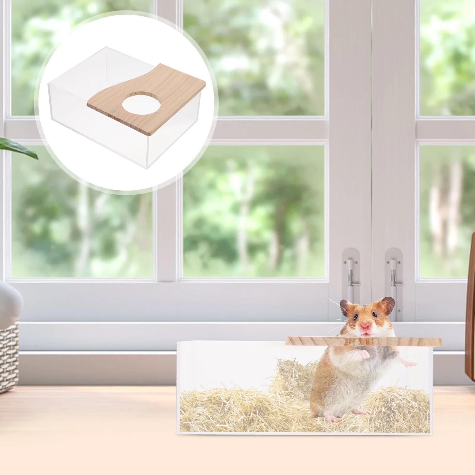 

1Pc Sand Bath Box Clear Hamster Toilet Small Pets Shower Room Sand Bath Room