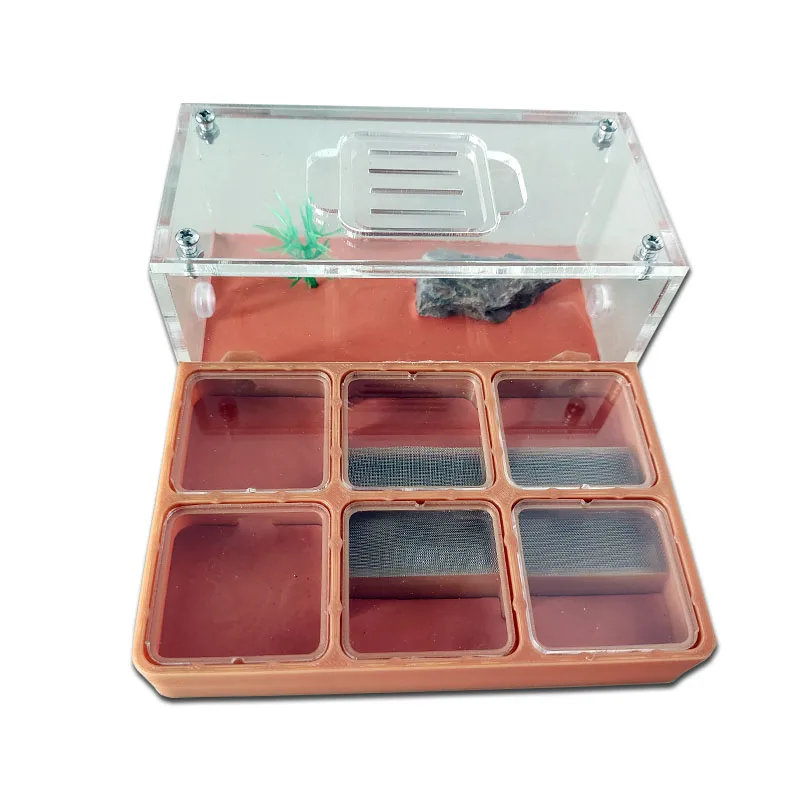 

3D Concrete Flat Ant Farm Ecological Ant Nest with Drinker Pet Anthill Workshop Moisturizing Ant House with Hunting Area Insect