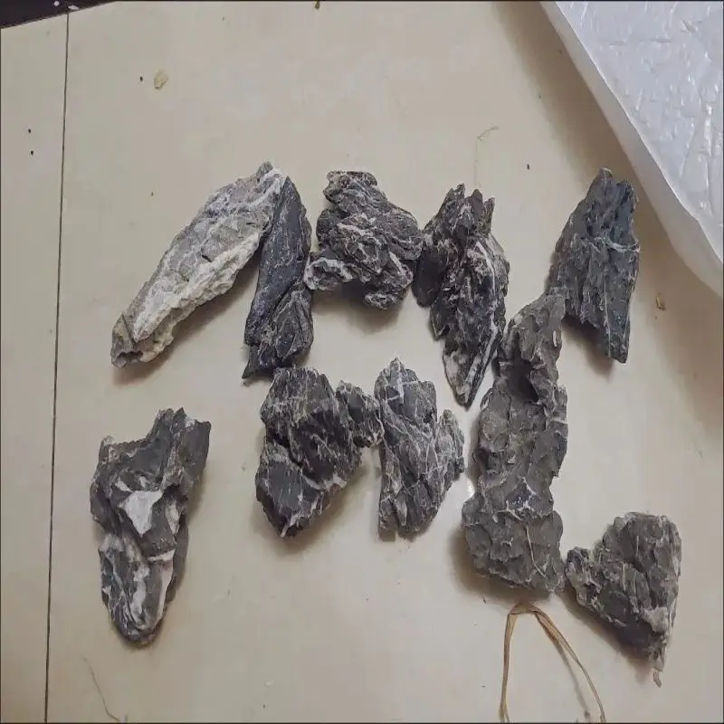 10Pcs Qinglongshi Small Pickling Selected Micro Grass Tank Landscape Stone Natural Moss Tank Mini Ornaments Small Rockery Stone