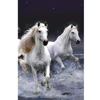 5d diamond painting two white horses by the sea full drill by number kits for adults diy diamond set arts craft a0815