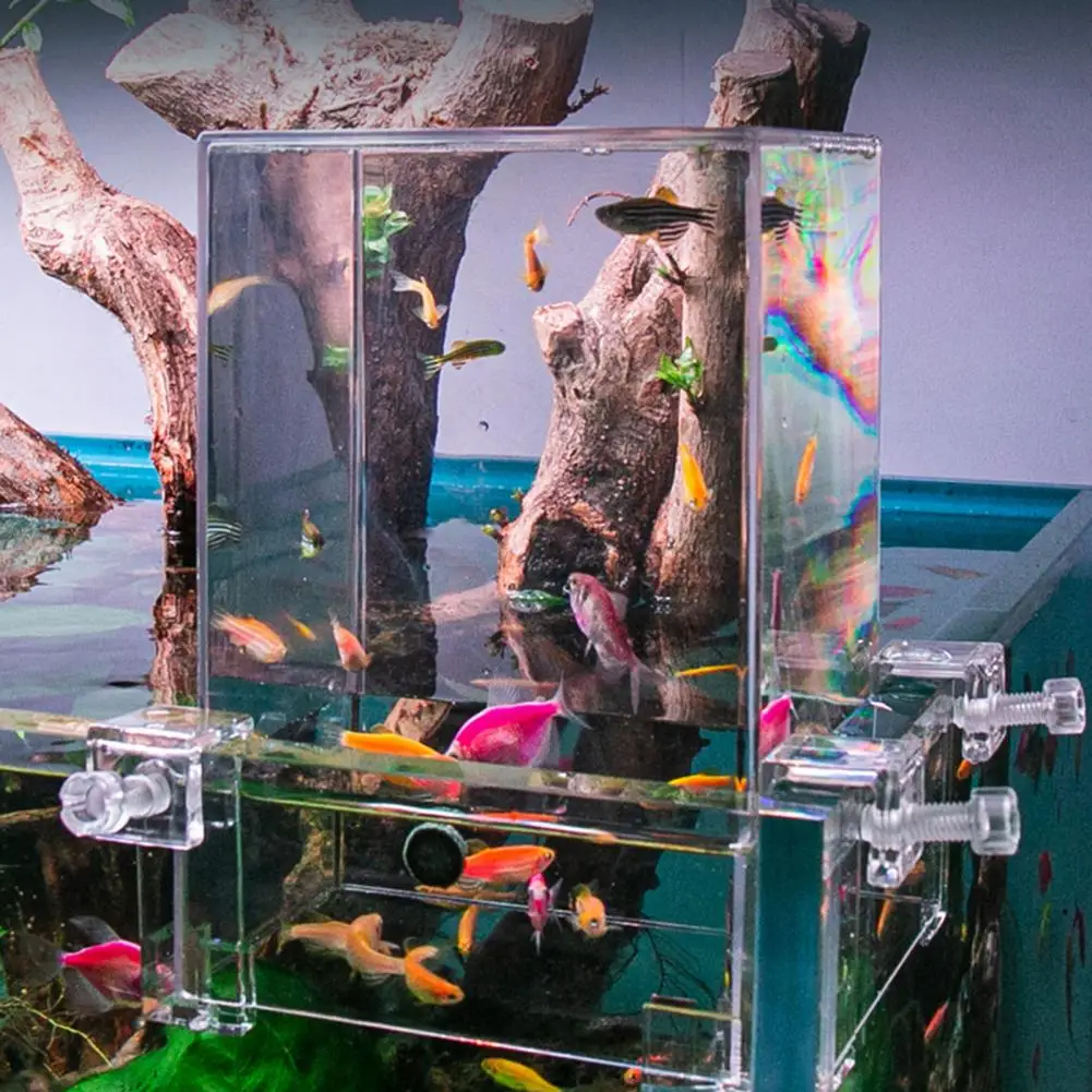 

Aquarium Vacuum Fish Tower Above The Water with Snaps Fish Tank Decoration Transparent Expanded Swim Area Aquarium