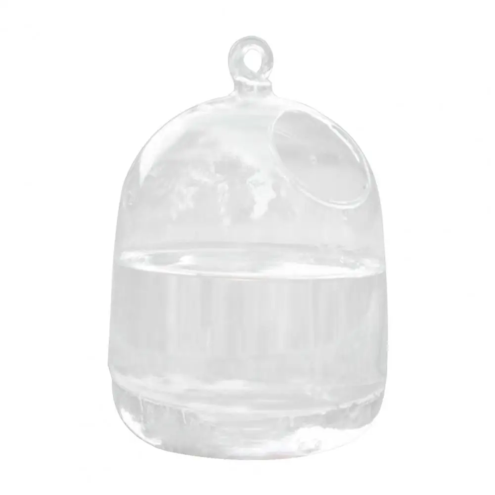 

Display Mold Harmless Glass Transparent Exquisite Decor Display Mold for Gift Home Ornament Hanging Fishbowl