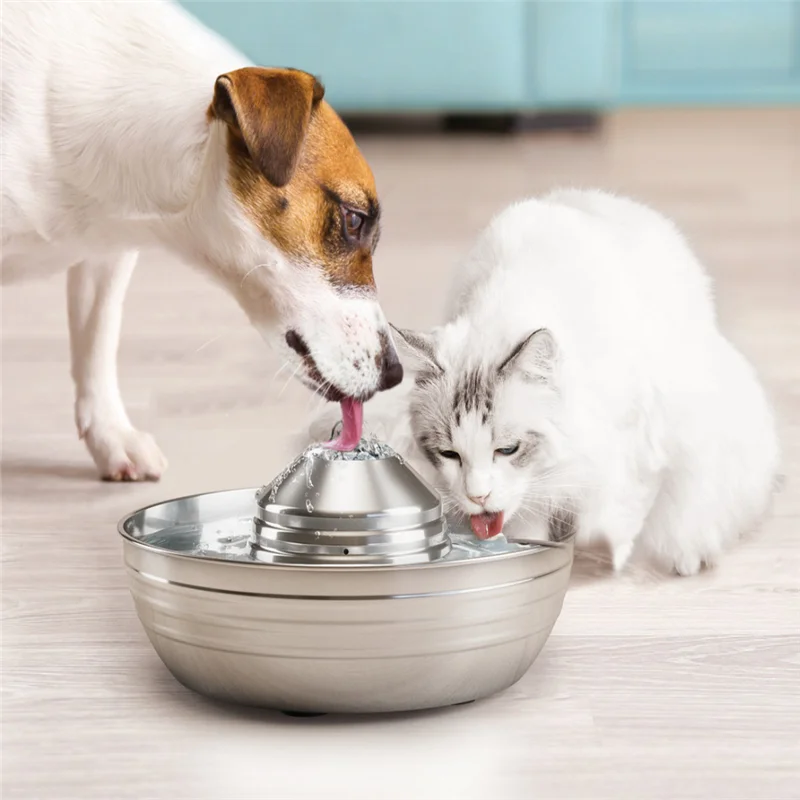 

The New Stainless Steel Automatic Drinking Fountain and Stainless Steel Non-Slip Feeding Bowl Are Easy To Clean and Drop Resist