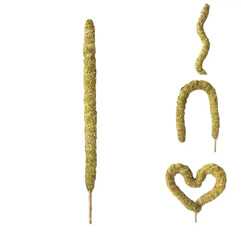 

Moss Pole For Potted Plants Natural Plant Stake Climbing Pole Stick Cute Gardening Planting Tool Multifunctional For Vines