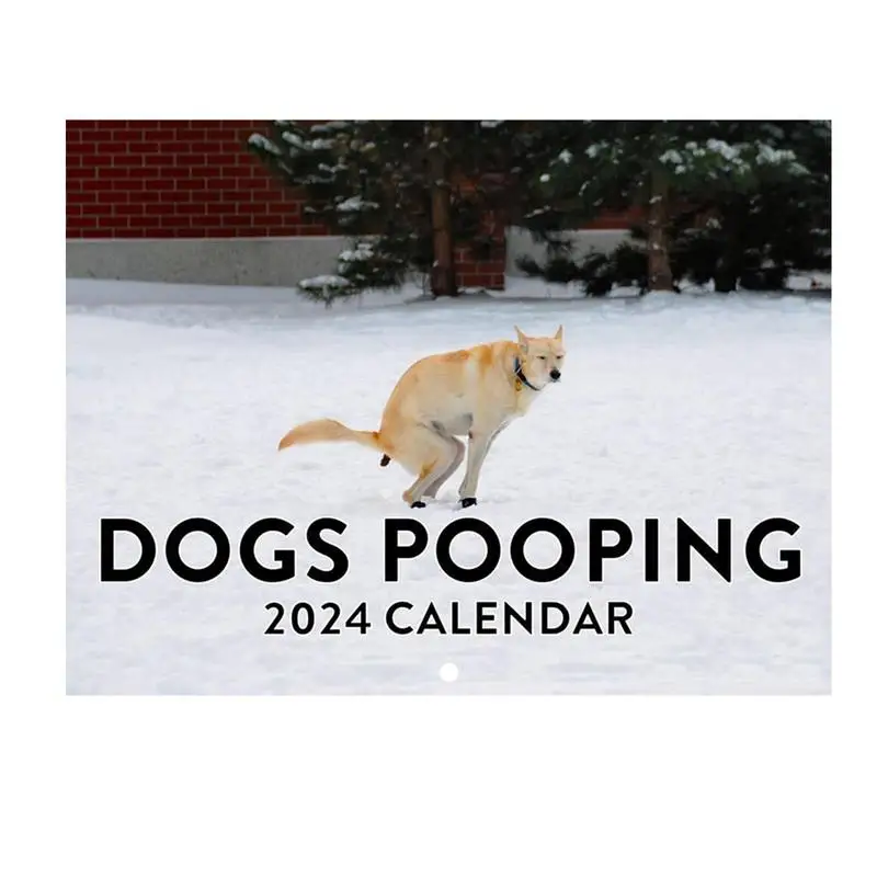 

Poop Calendar Funny Calendar For Wall Wall Decor Calendar With Dog Poop Photos For Offices School Home Hotel Classroom Apartment