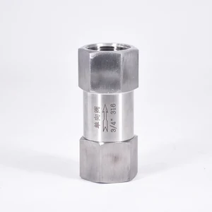 Односторонний обратный клапан BSP, 18 дюйма, 14 дюйма, 38 дюйма, 12 дюйма, 34 дюйма, 1 дюйма, с внутренней резьбой, невозвратный, из нержавеющей стали 304 316