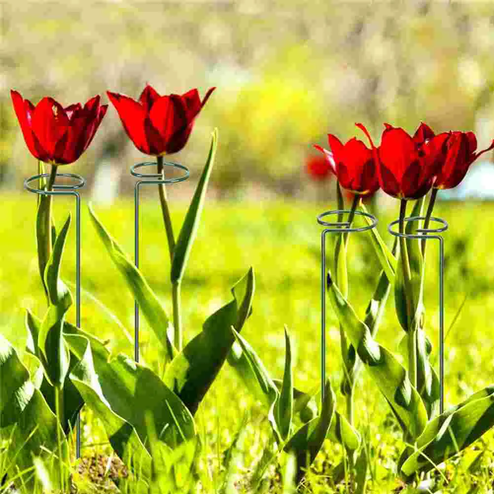 

Indoor Plants Stand Orchid Vine Trellis Outdoor Rack Climbing Plants Garden Supplies Potted Indoor Decorative Small Lily