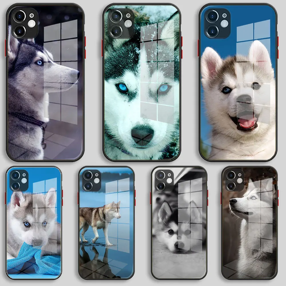 Черный силиконовый стеклянный чехол для iPhone 13 12 11 Pro XS Max X XR 8 7 6 Plus SE 2020 S мини-чехол