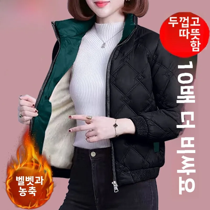 Пуховик Дятел Одежда на хлопковой подкладке Женская зима 2024 новое хлопковое