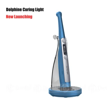 New Dolphin Broad Spectrum Dental Curing Light Machine Wireless Led Lamp Cordless Adjustable Blue Light Solidify Tools
