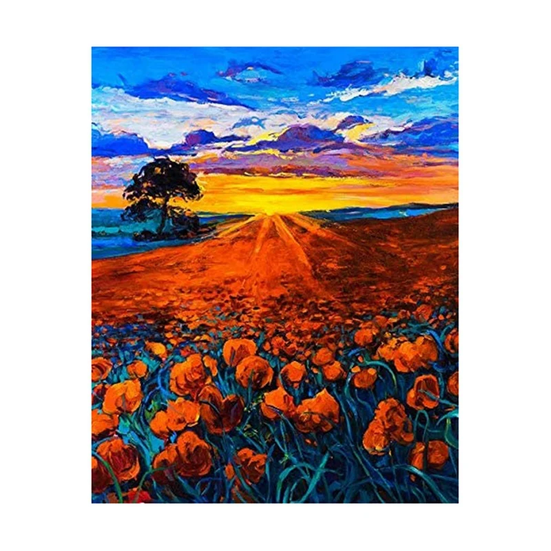 

Картина по номерам для взрослых новичков, набор для самостоятельного рисования маковым маслом на холсте, декоративное искусство, 16x20 дюймов