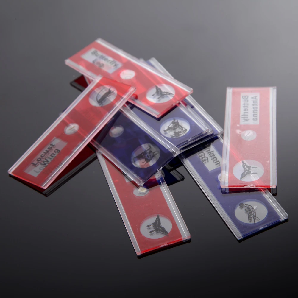 

12pcs Microscopic Biological Specimens Prepared Sample Specimens for Kids Science Education