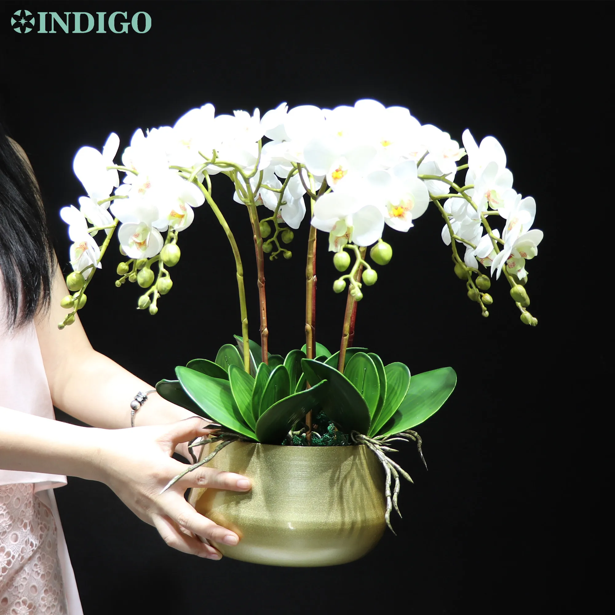 White Orchid (7PCS Orchid+5PCS Leaves+ Pot + Moss) DIY Flower Arrangment Real Touch Office Decoration Event Centerpiece INDIGO