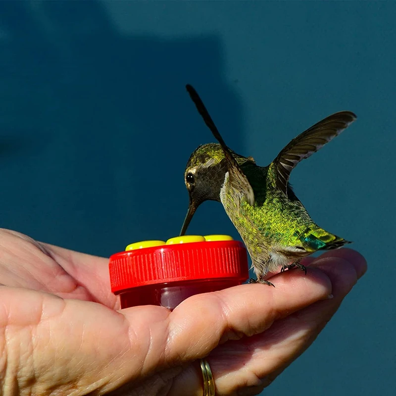 Набор кормушек для птиц с 2 кольцами кормления и шт. на запястьях кормушки