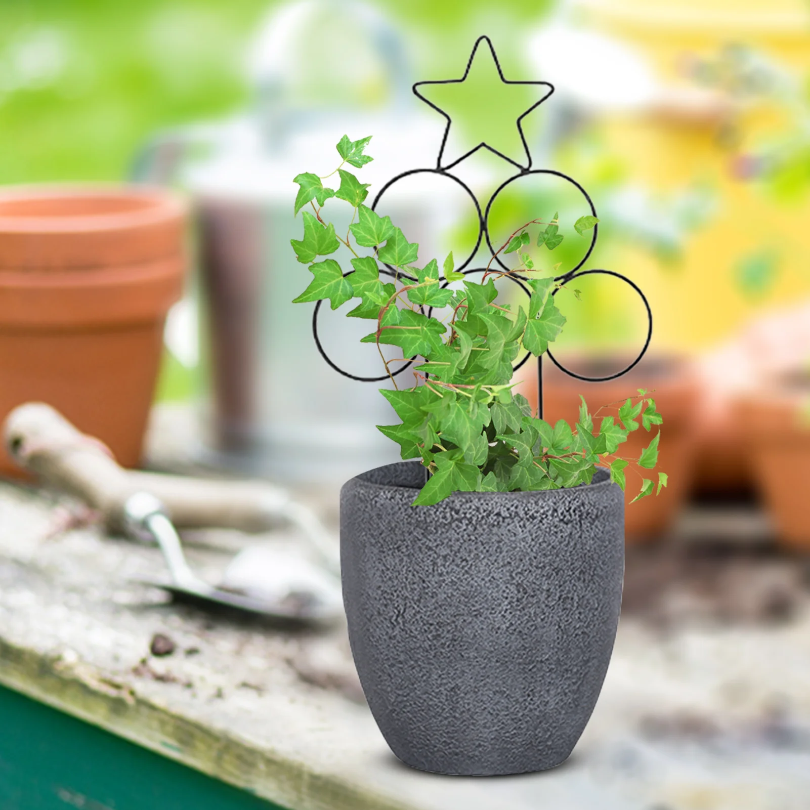 

Circles Stars Garden Support Stake Metal Garden Plants Pot Trellis Decorative Cane Vines Support Ring For Climbing Plants
