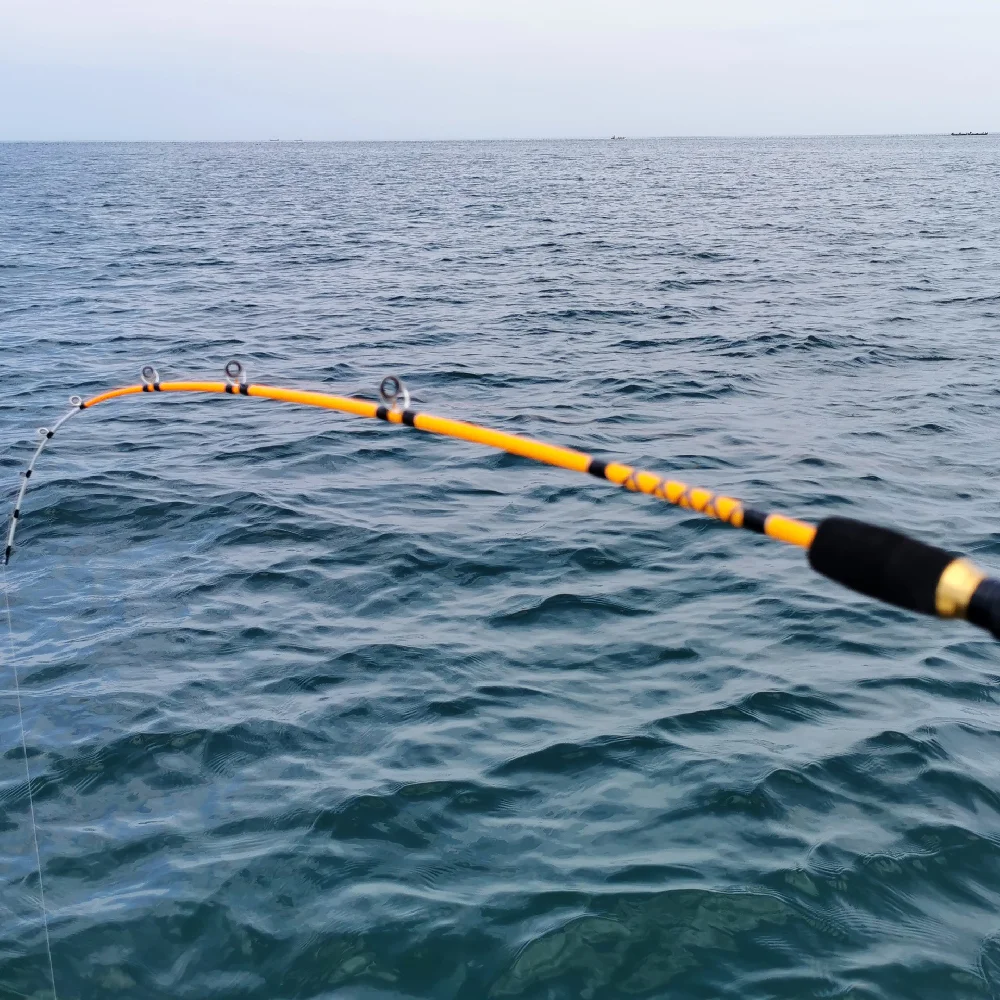 Профессиональная удочка для морской лодки удочка-трость литья товары спиннинга