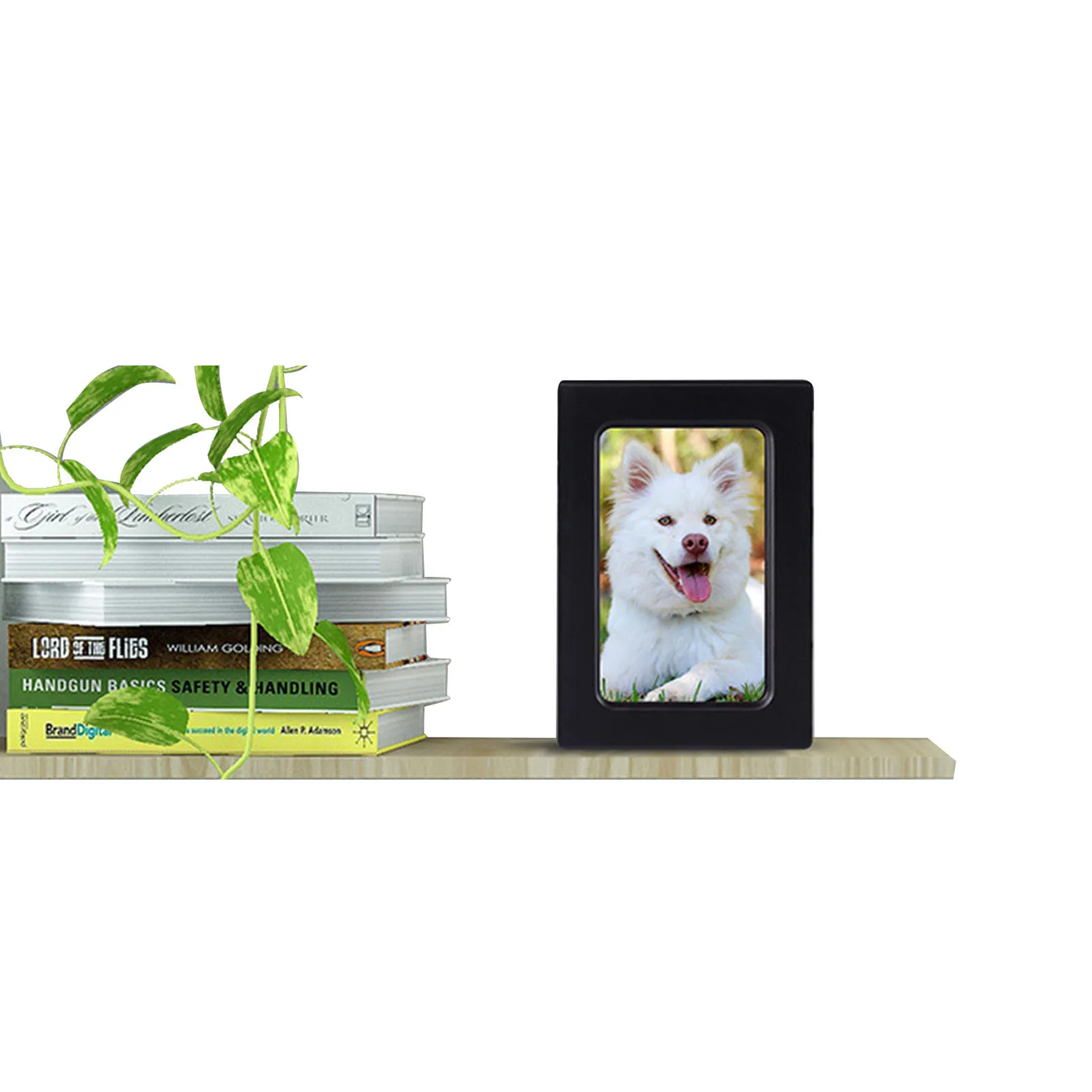 

Souvenirs Commemorative Urns Chic Pet Cremation Box With Photo Frame Beautiful Dog Urns Wooden Picture Pet Urn For Beloved Pets