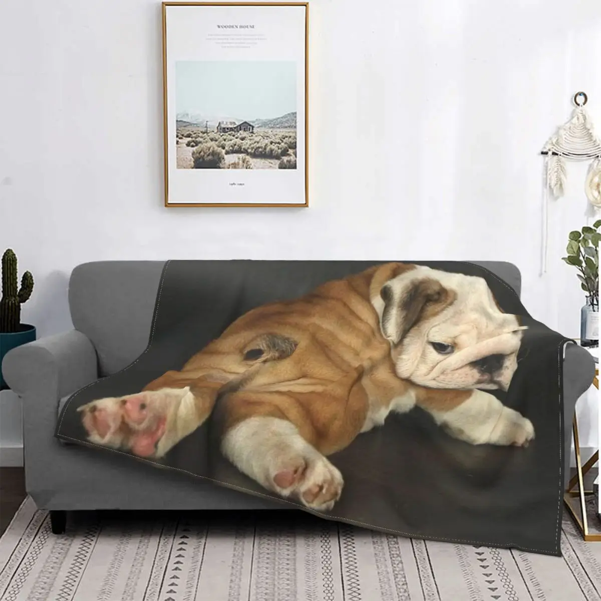 

3D Print Cute English Bulldog Blankets Comfortable Soft Flannel Summer British Pet Dog Lover Throw Blanket for Sofa Car Bedroom