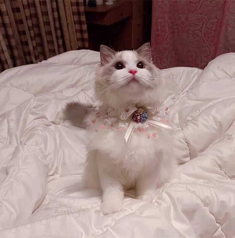 Модные ошейники для собак с цветочным принтом сердца нагрудник ручной работы