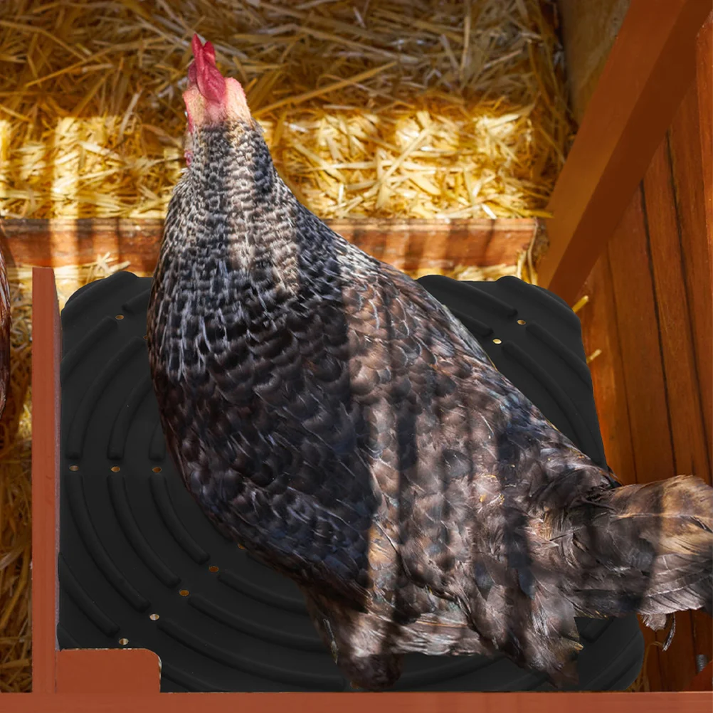 

2 Pcs Chicken Coop Mat Nesting Pad Accessories Egg Protective Mats Easy Clean Box Pads Silica Gel Eggs Silicone Building