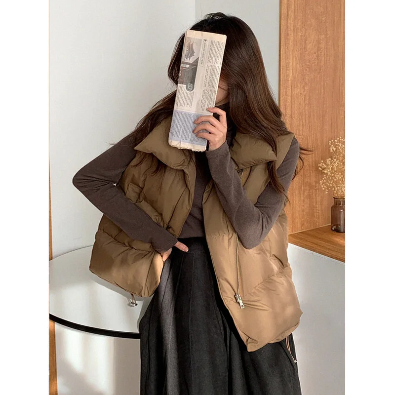 Шикарный Универсальный теплый пуховой жилет из Южной Кореи с воротником-стойкой