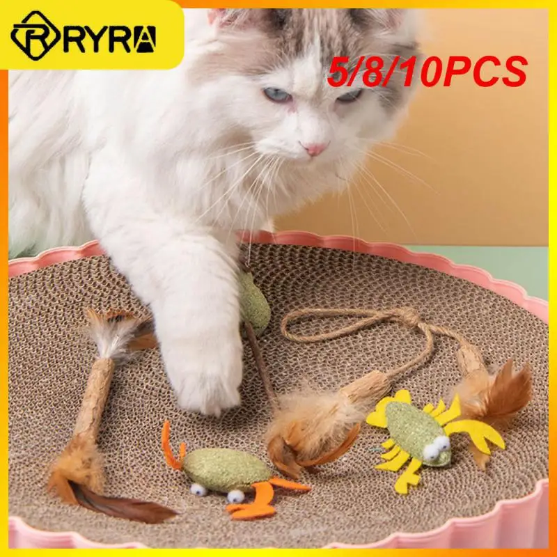 

5/8/10PCS Pet Catnip Toys Mixed Multicolor Cat Mint Edible Catnip Ball Wooden Polygonum Catnip Cat Healthy Chasing Game Toy