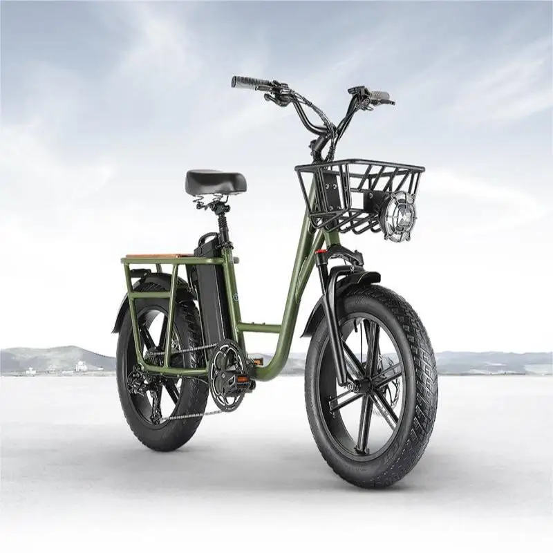 

PRO Cargo Electric Bicycle 750W Motor 48V 20AH Battery 20*4.0 inch Fat Tire Adult E-Bike Range 150km, 50km/h Max Speed
