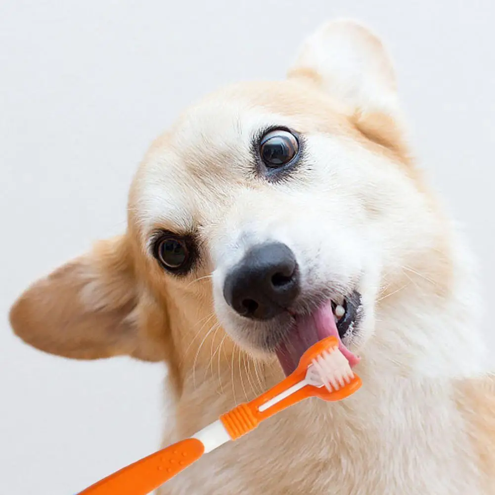 

Зубная щетка для собак и кошек, пластиковая Удобная трехсторонняя, для ухода за зубами