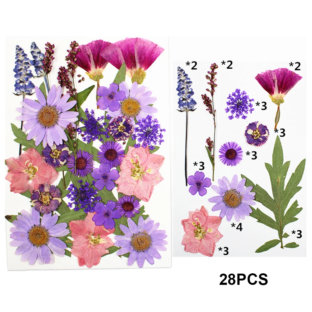 

Сухие цветы для декора 40 шт