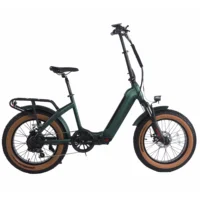 48V10.5 Ah Hidden Lithium Battery Folding Electric Bicycle 750W Bafang Motor Ebike 20"*4.0 Step Through Fat Tire Electrical Bike