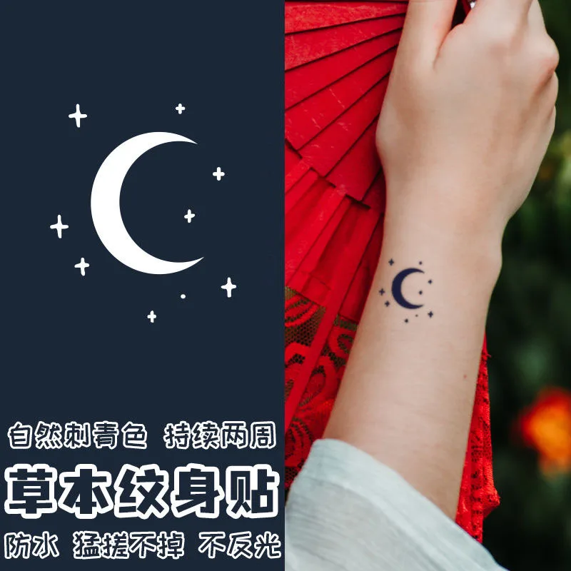 

Herbal Semi-Permanent Juice Waterproof Tattoo Moon Star Hand Tattoo Small Size Decal Men Women