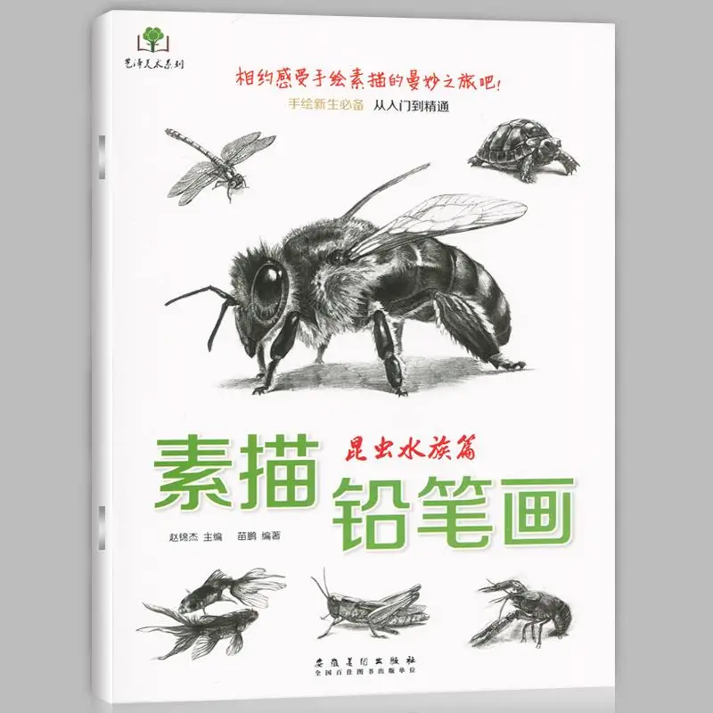 Drawing Insect Aquarium Chapter Sketch Drawing About Goldfish Dragonfly Turtle Other Art Drawing Books