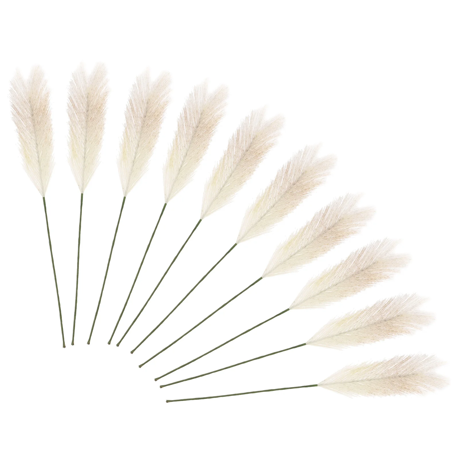 

Flower Bouquet Reed Dried Arrangement Floral Pampas Dry Tail Flowers Simulation Tall Bunch Decorative Wedding Rabbit Home decor