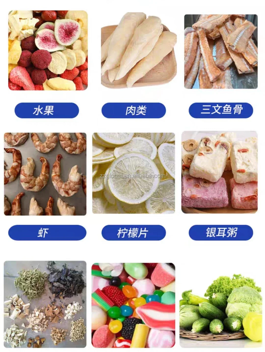 Global sus304 нержавеющая сталь овощная средняя маленькая сушилка для еды