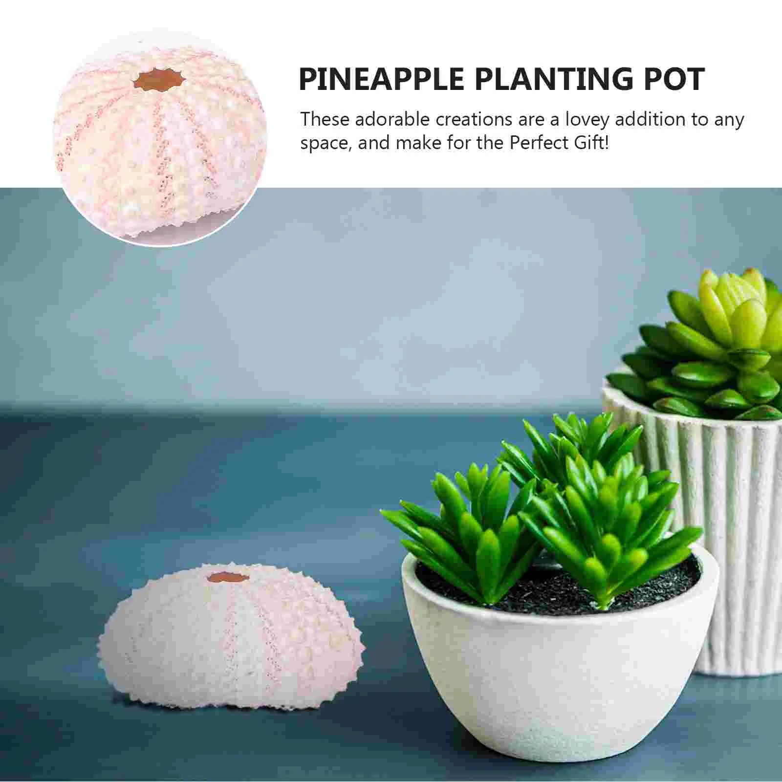 8 шт. контейнер для ананасов сделай сам | Ракушки и морские звезды