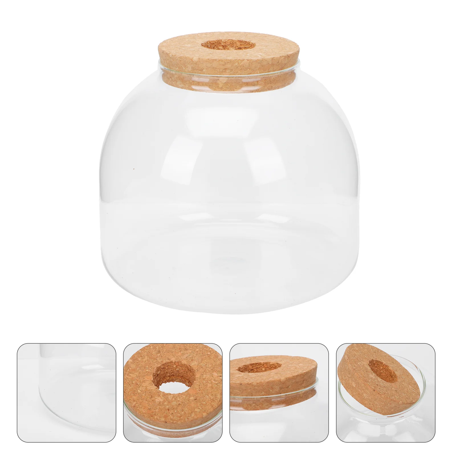 

1 Set of Glass Flower Jar Glass Display Dome Cloche Glass Terrarium Bottle Glass Dome Jar Cloche Bell Jar