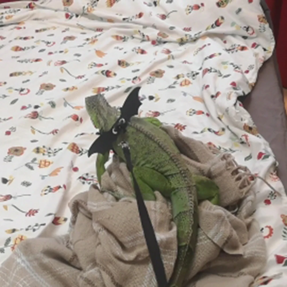 Поводок для рептилий ящерицы с крыльями белкой медведем драконом нагрудным