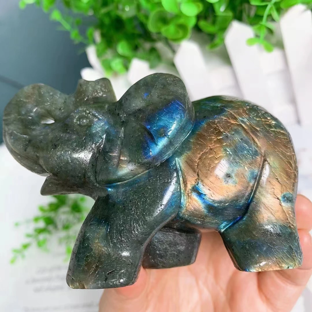 

Labradorite Elephant God Natural Quartz Crystal Carved Gemstones Ganesha Healing Reiki Decoration Stones 1pcs