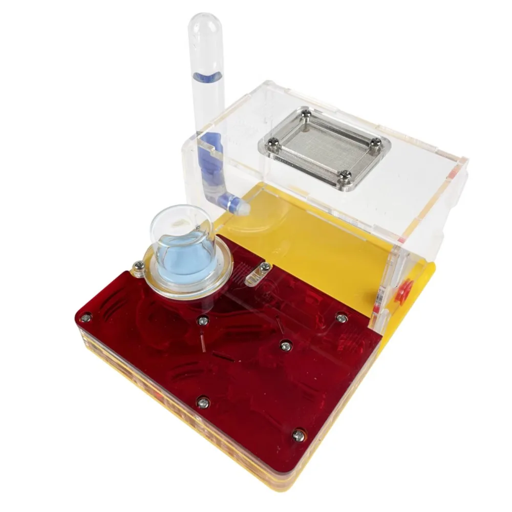 Акриловое гнездо для муравьев заменяет мастерскую муравьи Vivarium студенческая