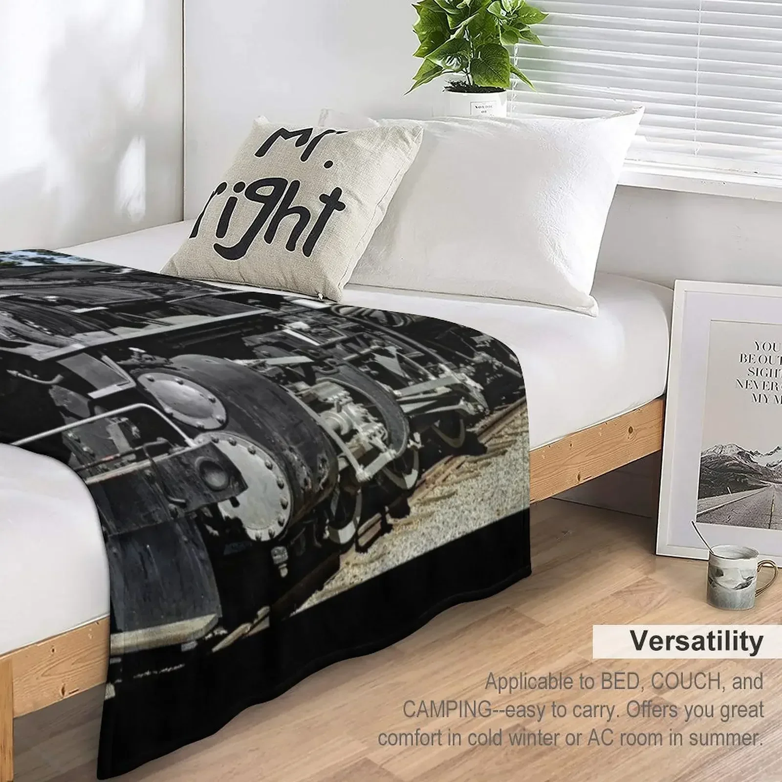 Южный Тихоокеанский паровоз № 1273 железнодорожный поезд музейное одеяло большие