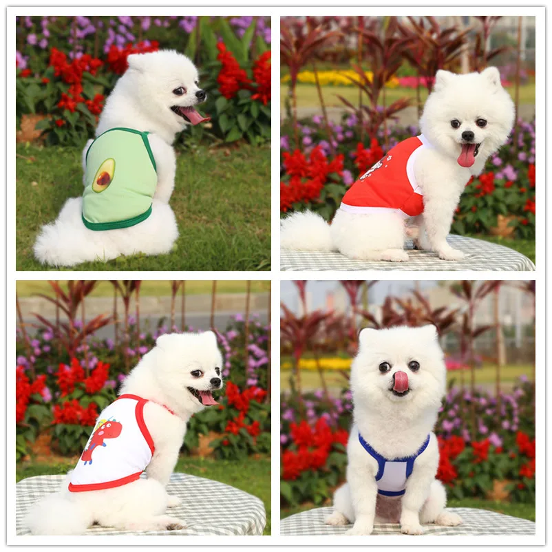 

Camisole Mesh Breathable Dog Cat Pet Small And Medium-Sized Dog Spring And Summer Supplies Clothes Teddy Than Avocado