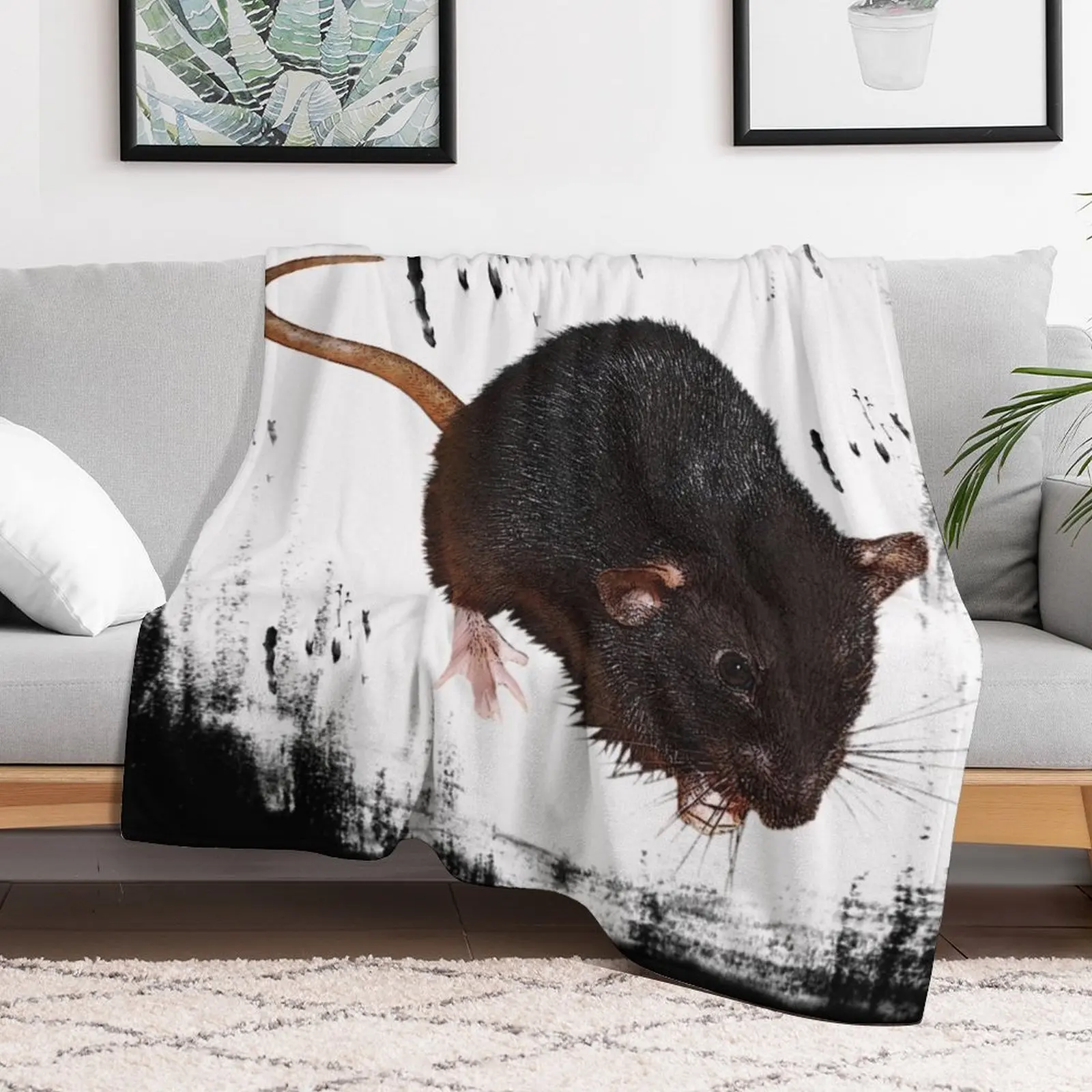 крыса с фоном грызунами милыми домашними животными подарками веером крысы Плед