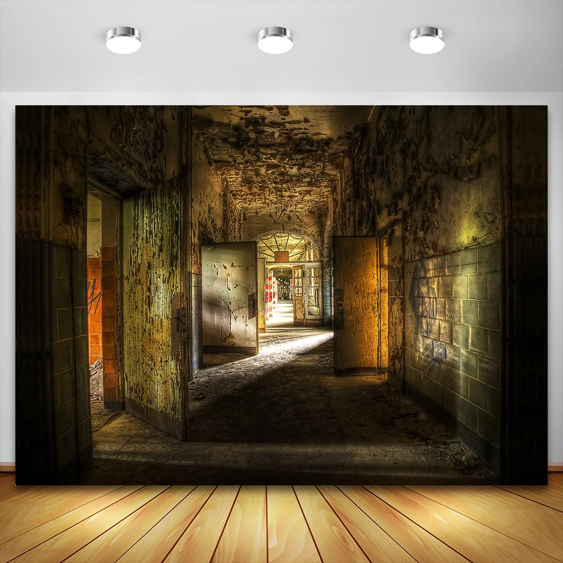 

Потрепанные шикарные двери ужасный коридор интерьерные фотографии фоны для фотозоны портрет виниловые тканевые фоны для фотостудии